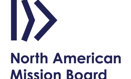 NAMB logo